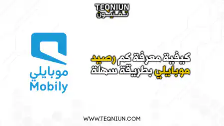 كيف اعرف كم رصيدي موبايلي بطريقة سهلة 334888535 2050140521845053 2606892260641341844 n