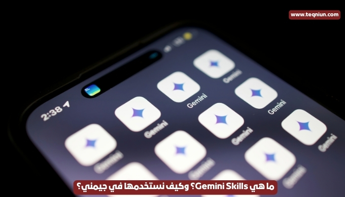 ما هي Gemini Skills؟ وكيف نستخدمها في جيمني؟ ما هي Gemini Skills؟ وكيف نستخدمها في جيمني؟